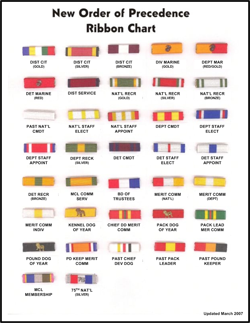 Young Marines Ribbons Chart